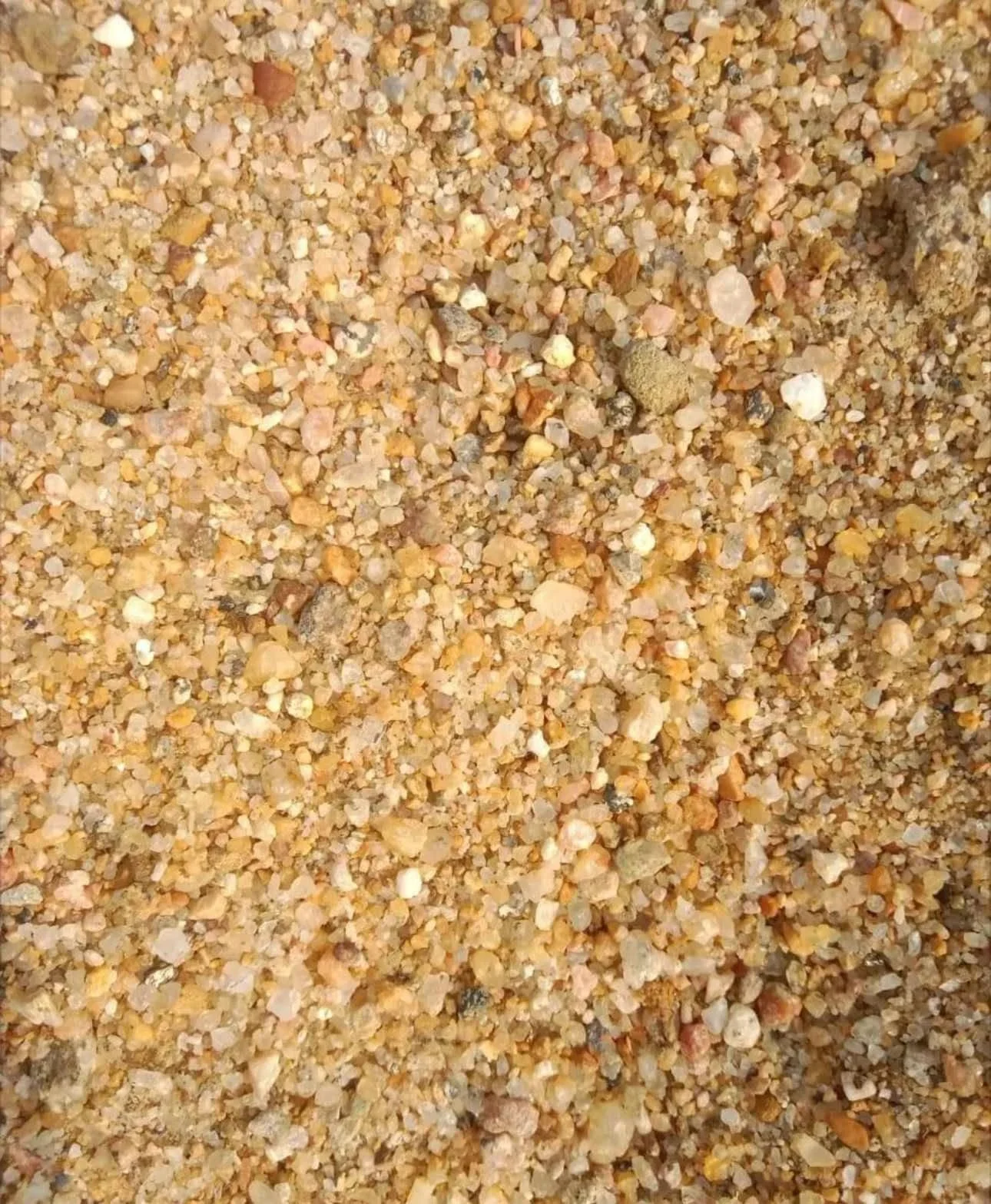 ১/২ পাথর